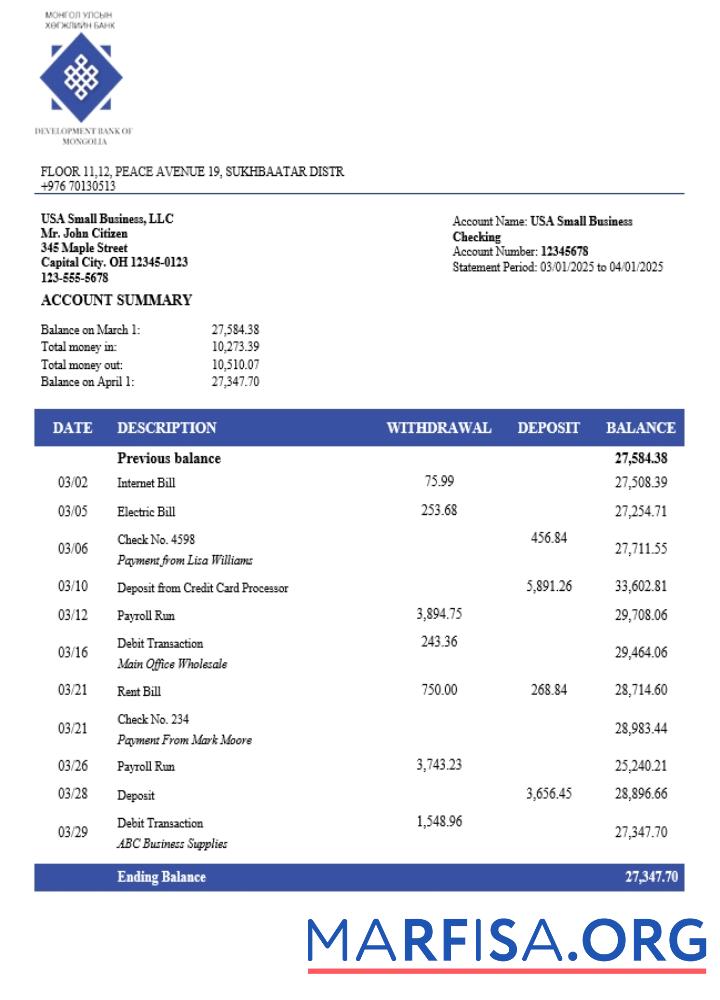 Realistic Development Bank of Mongolian organization checking account statement Word and PDF template (1)
